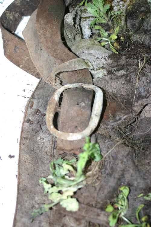 Victim's leather belt with buckle