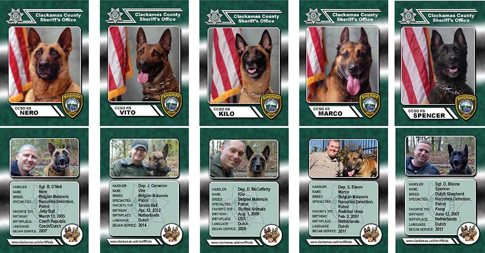 k9 specialties