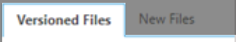 Versioned files