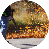 Using a leaf blower