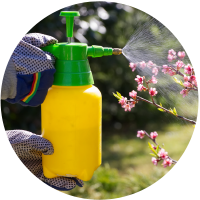 Spraying pesticides