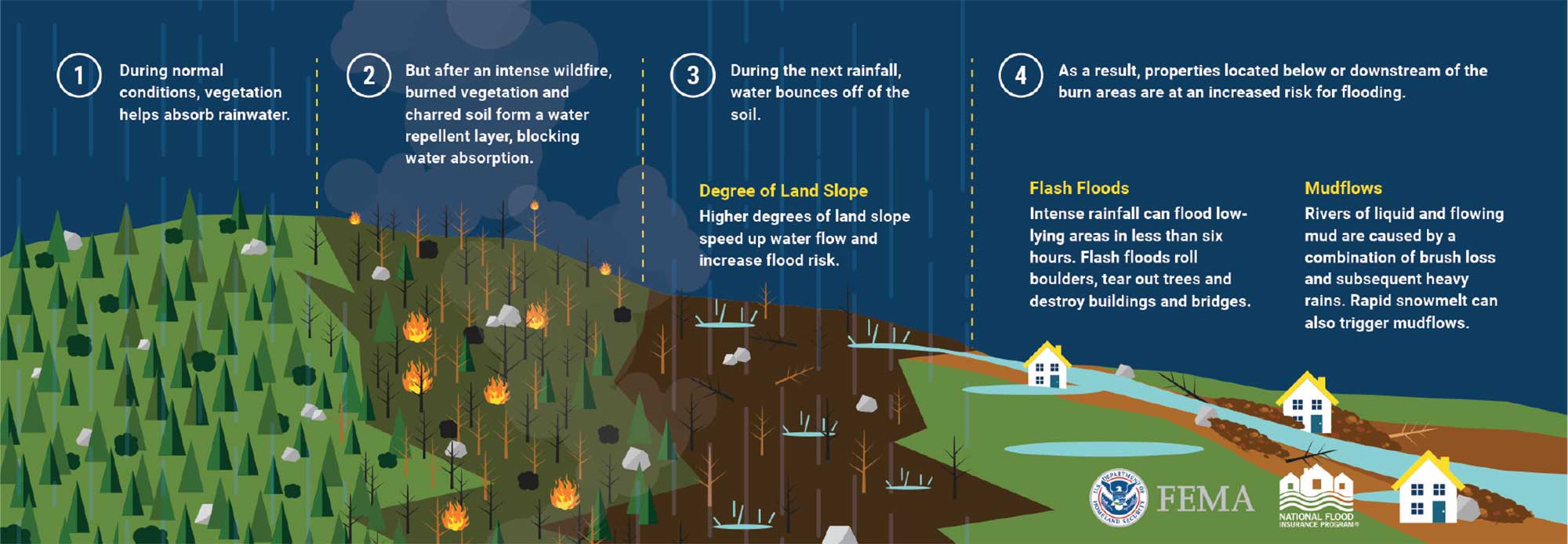 FEMA flood information