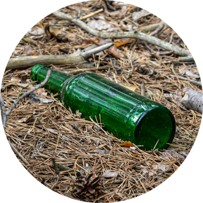 Glass bottle littered on the forest floor