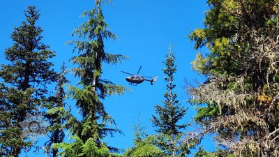 SAR Helicopter