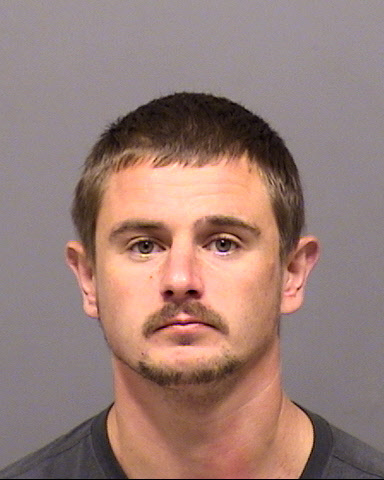 Mugshot of Mickal Ivan Reutov