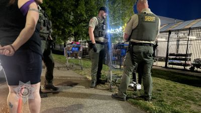 Theft Suspect Arrest