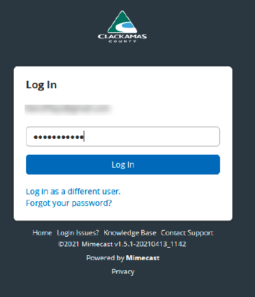 Login with password window screenshot