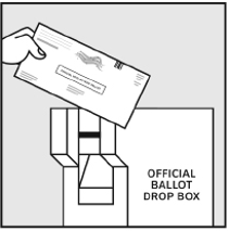 Ballot being returned to an official ballot drop box