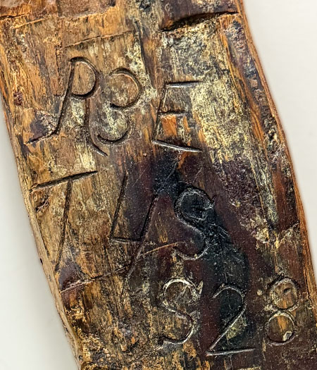 Close-up view of a former bearing tree with numbers and letters inscribed into the tree bark.