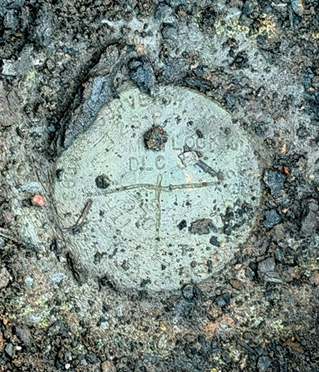 Disk with some rubble on top of the monument representing a Clackamas County public land corner.