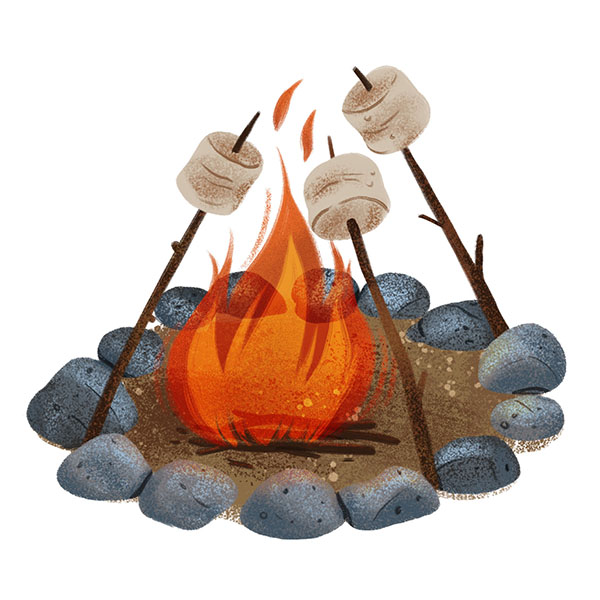 Campfire with marshmallows being toasted over it