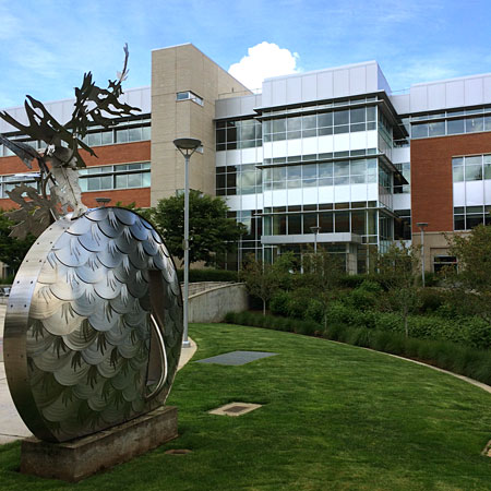 Development Services Building