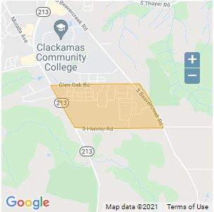 Map of gas leak