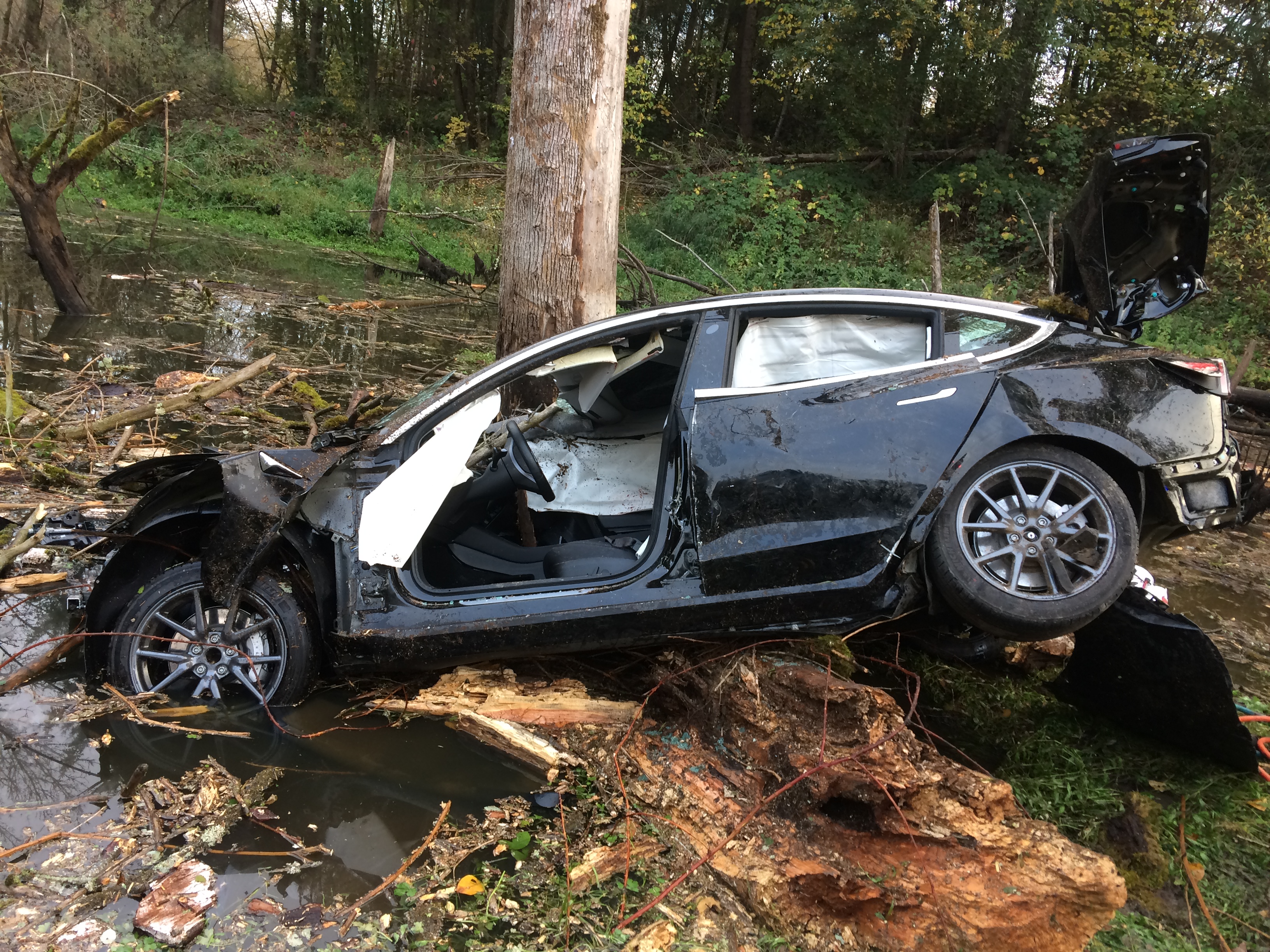 Intoxicated driver loses control of Tesla, goes airborne through trees