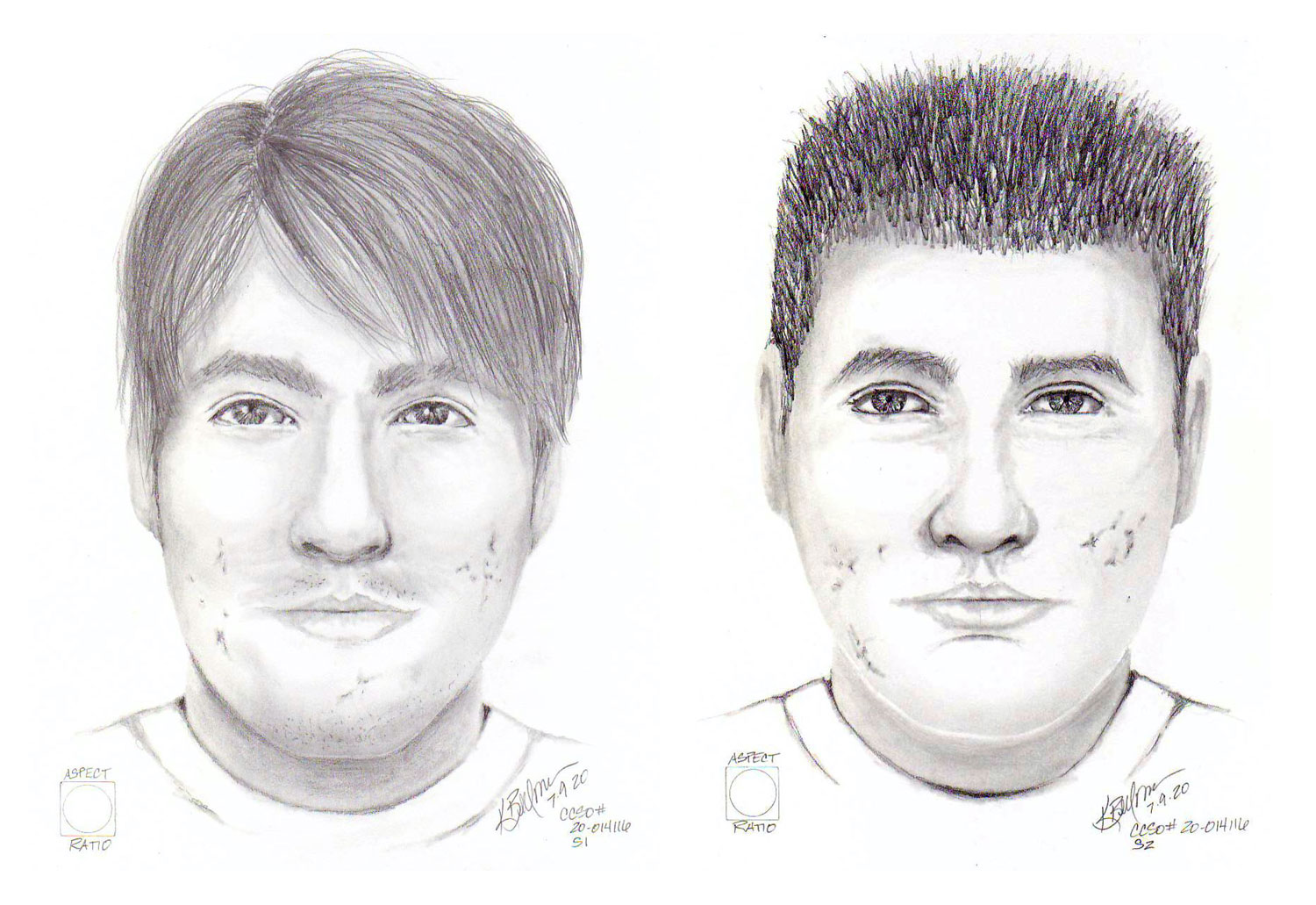 Suspect sketches