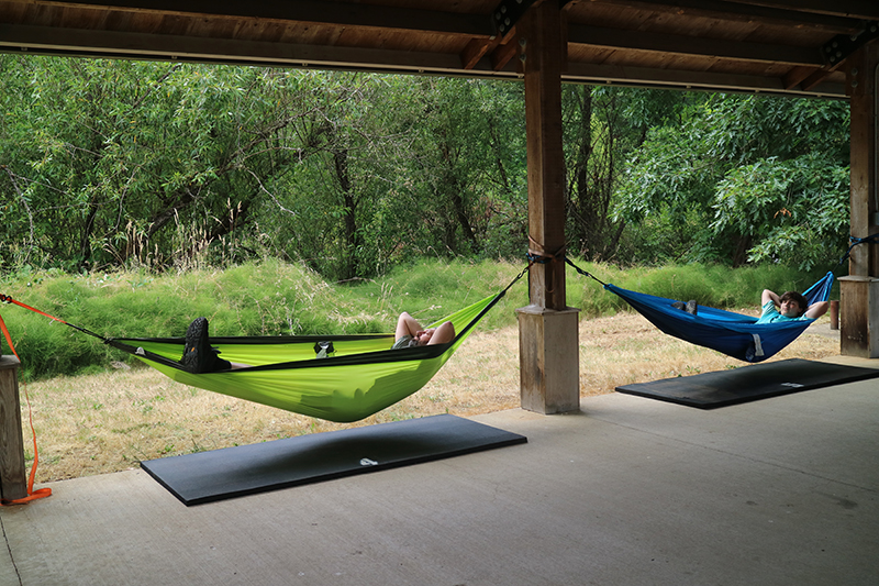 Two men relaxing in separate hammocks in a tranquil park setting