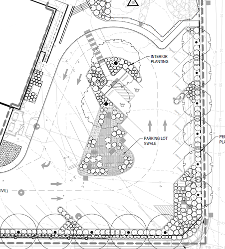 Schematic of parking lot swale and interior planting