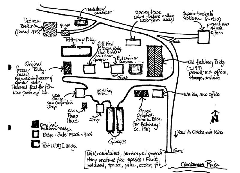 Site plan sketch