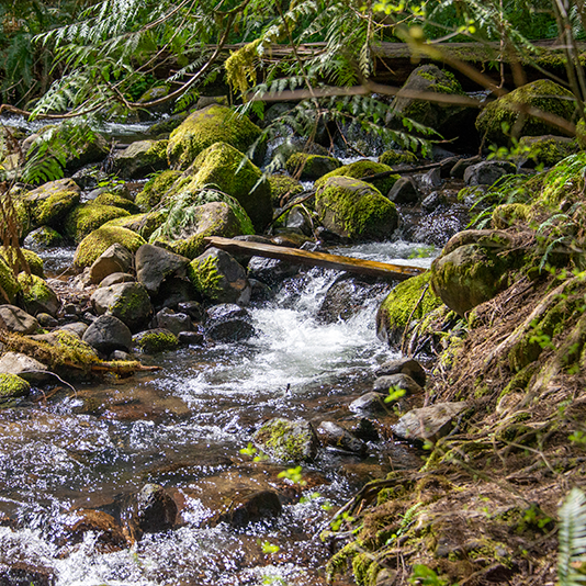 Stream going over rocks