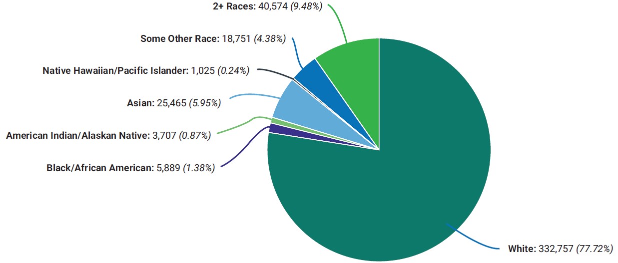 Pie chart showing Clackamas County population by race