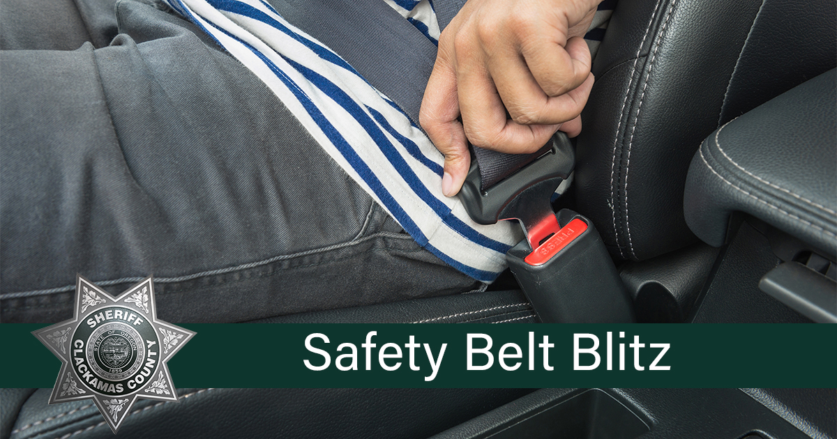 Safety Belt Blitz