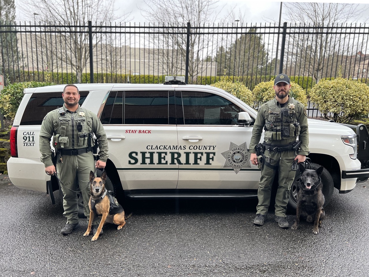 Photo of K9 Abbie and K9 Coda