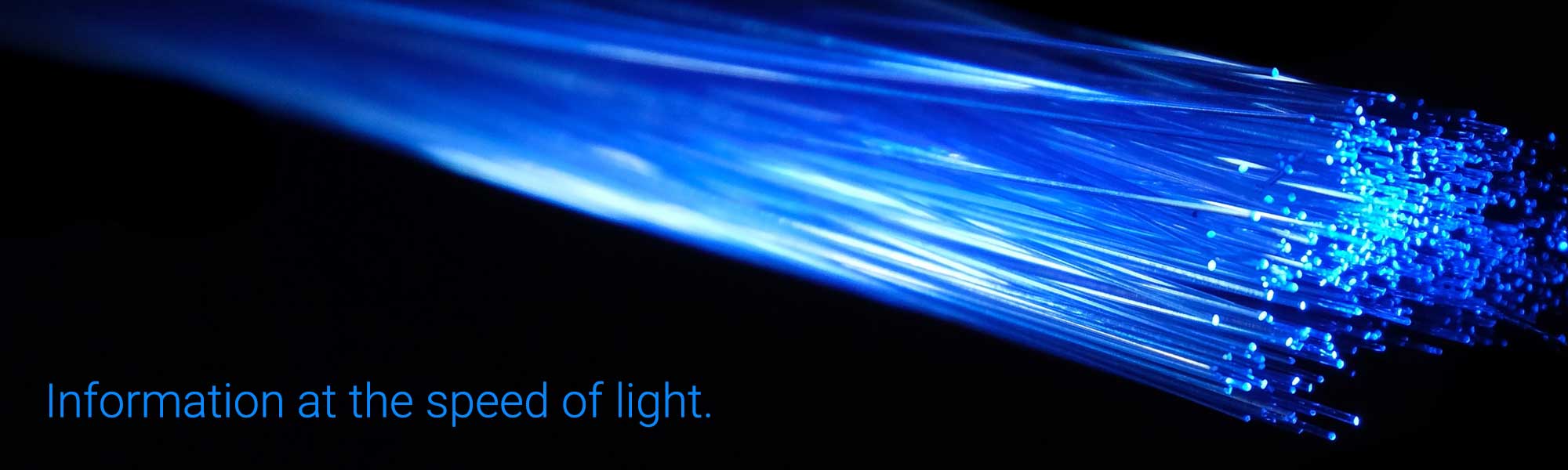 Fiber optic cable beside text that says 'information at the speed of light'