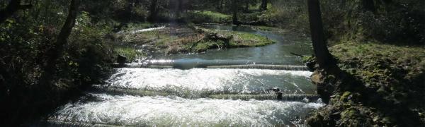 Creek under Wright Road