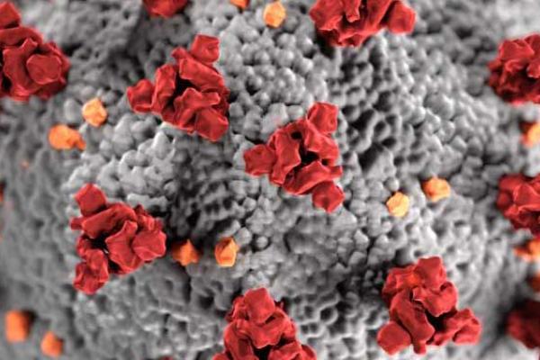 COVID-19 virus photo