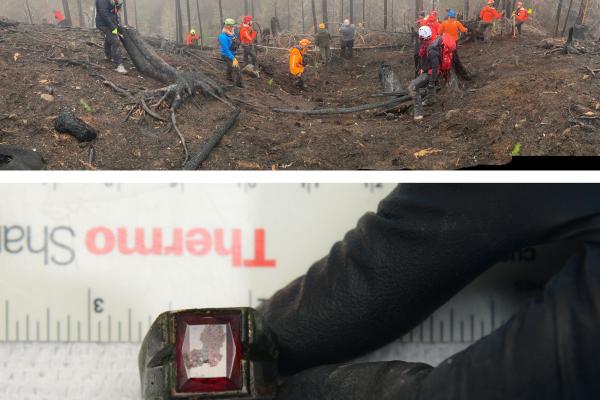 Searchers and recovered ring