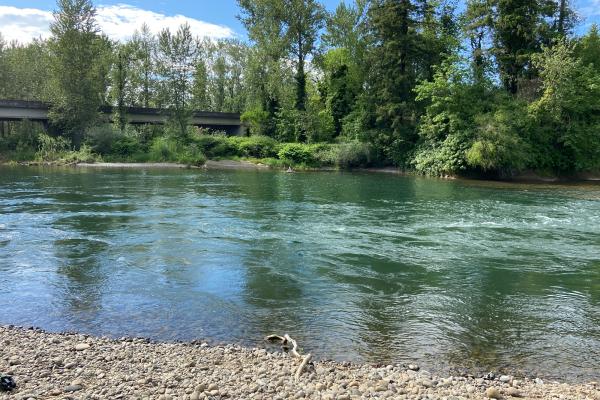 Molalla River current