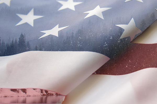 American flag superimposed on snowy scene