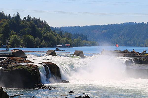 Willamette falls