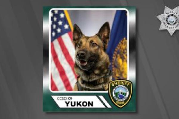 CCSO K9 Yukon