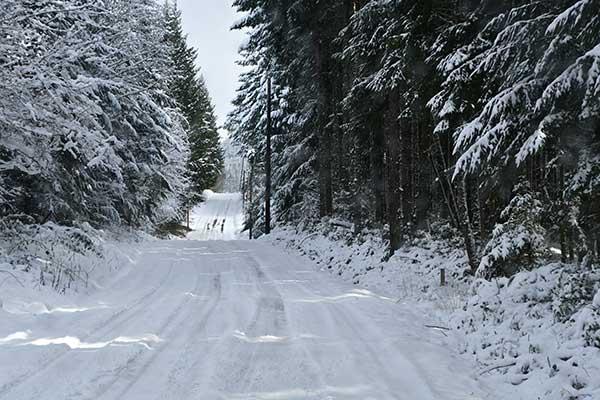 Icy roads in Clackamas County