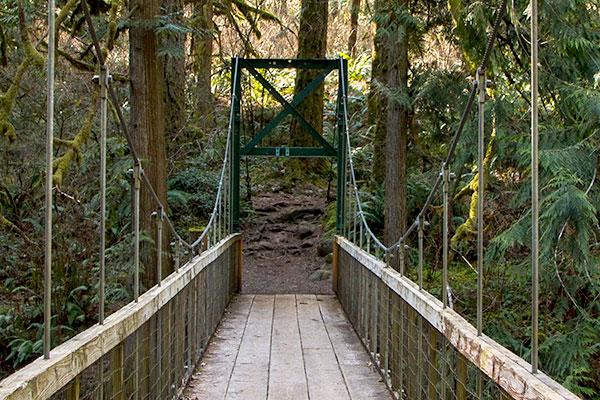 Metzler Park bridge