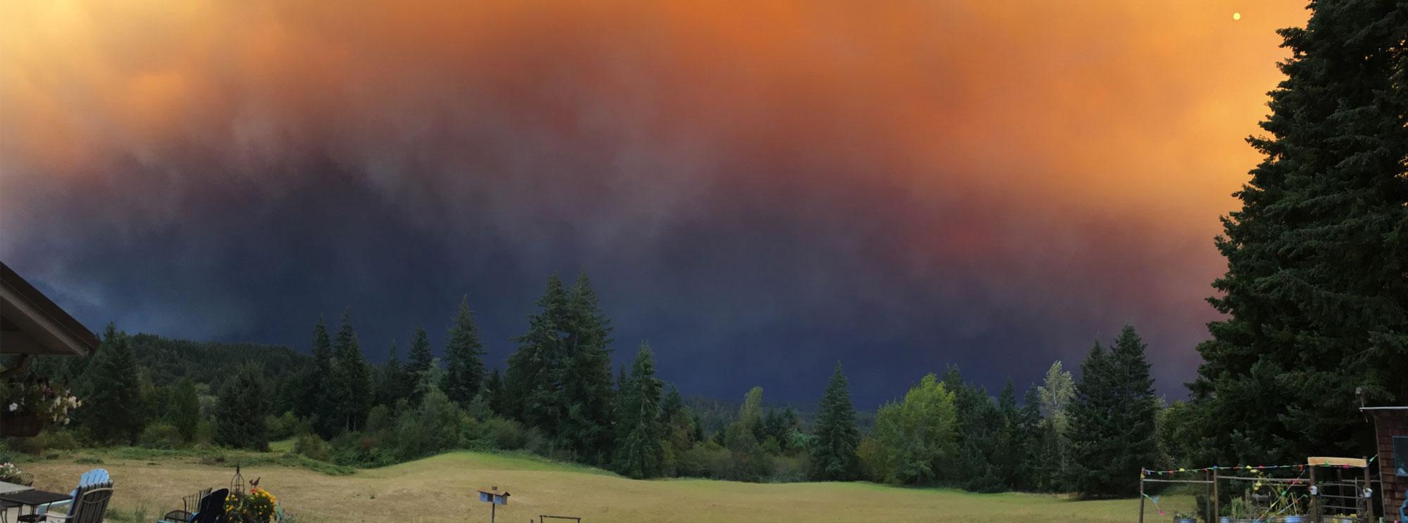 Dark, smoky skies above pine trees