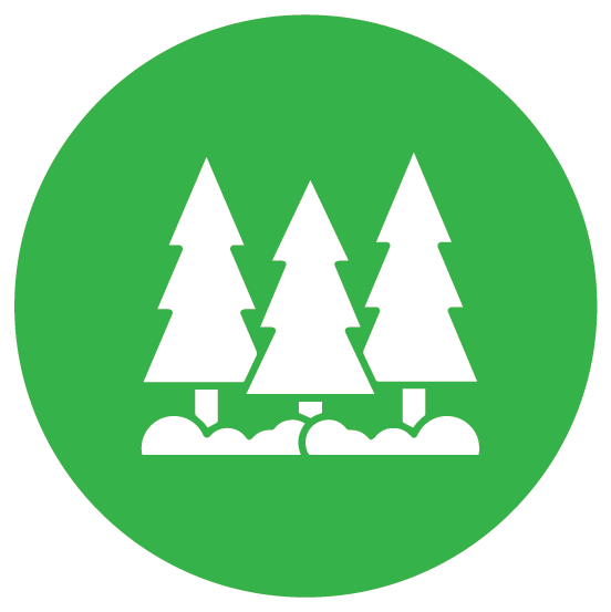 Icon of a forest