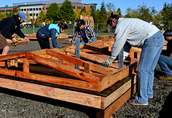 Building the pods