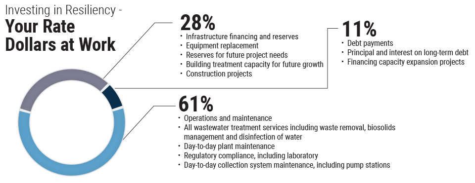 Chart of WES finances