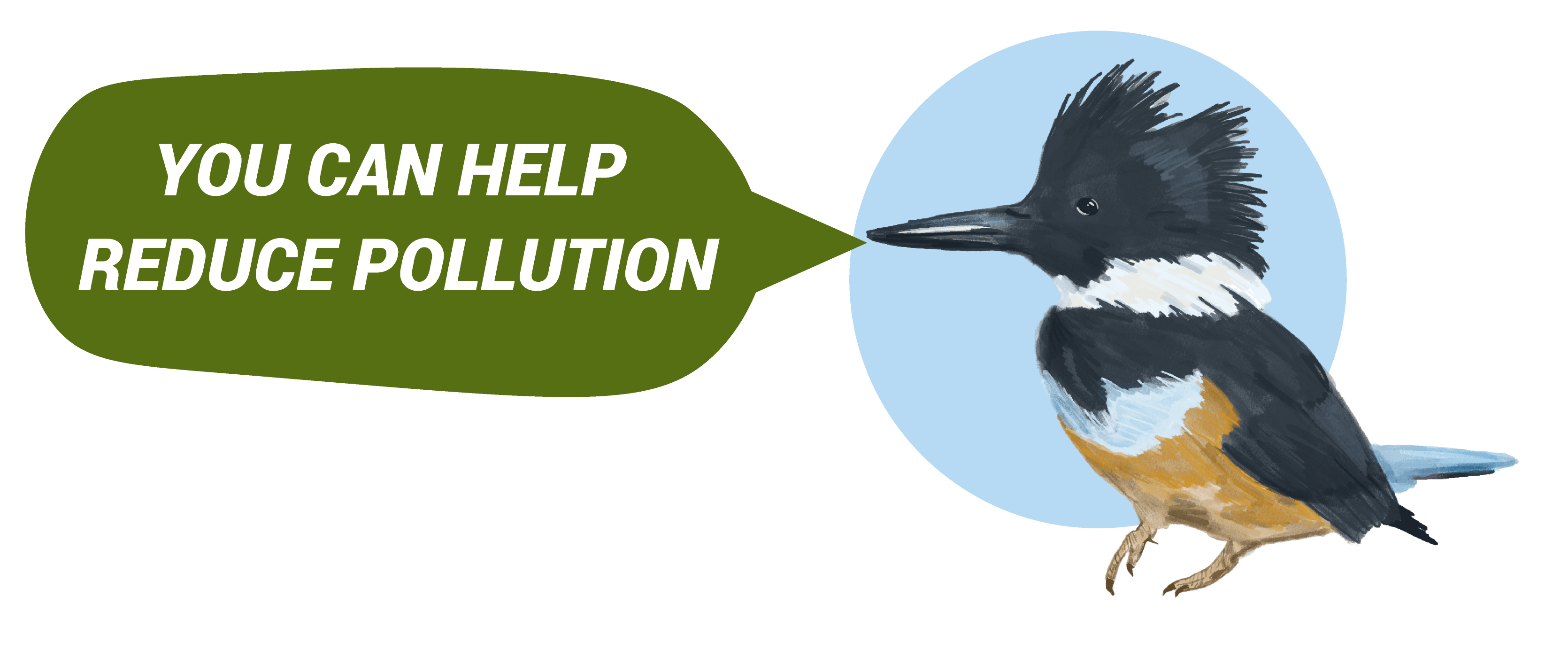 Kingfisher character with words You can help reduce pollution