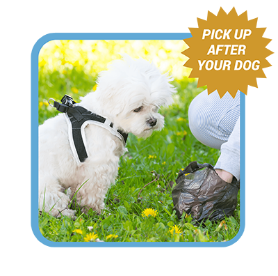 Picking up dog poo with words Pick up after your dog