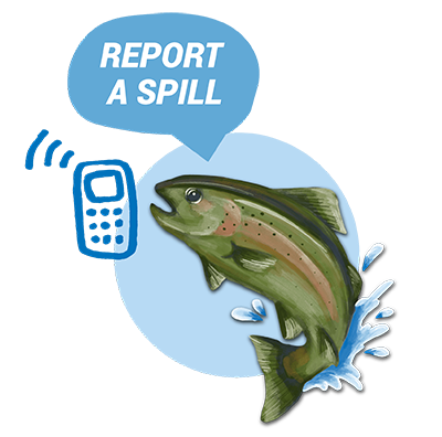 Fish character with words Report a spill