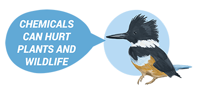 Kingfisher character with words Chemicals can hurt plants and wildlife