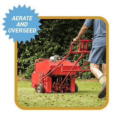 Person aerating a lawn with words Aerate and overseed